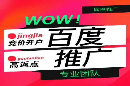 竞价SEM案例解析：电商行业营销策略